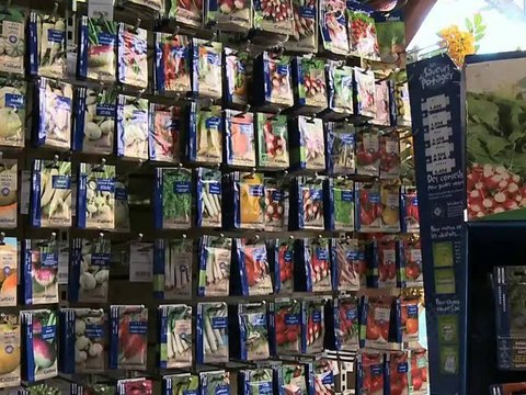 Les Jardins de Provence - Fleurs,plantes à Althen-des-Paluds