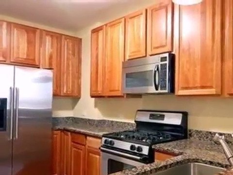 Homes for Sale - 1111 S Wabash Ave - Chicago, IL 60605 - Col