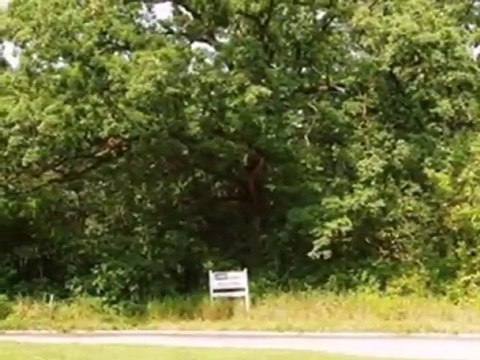 Homes for Sale - Lt14 Hickorywood Ct - Mount Pleasant, WI 5