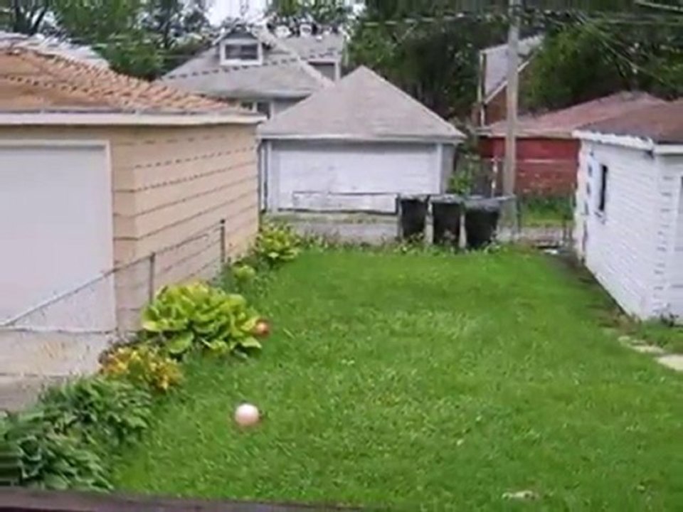 Homes for Sale - 10223 S May St - Chicago, IL 60643 - Coldwe