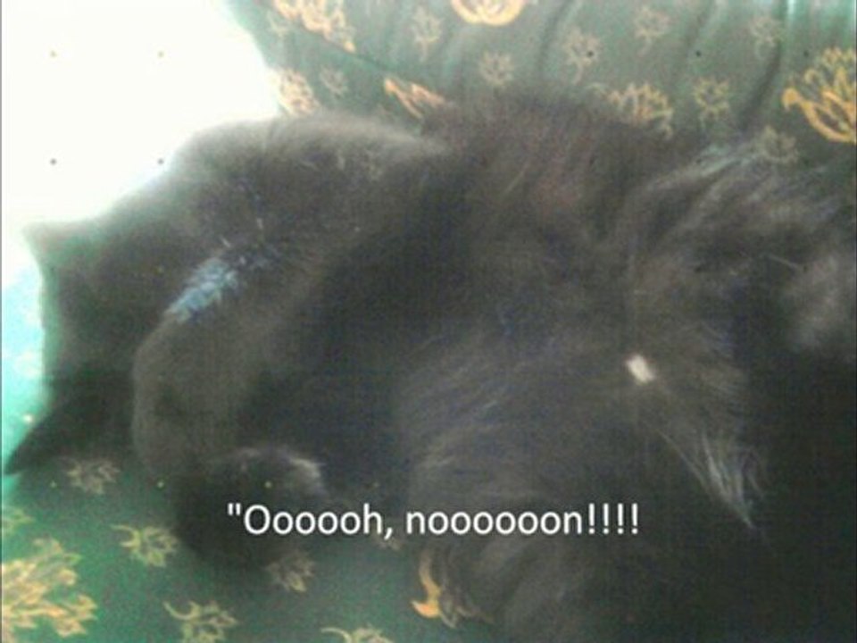 Super Catin!!!