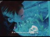'Twelve' - Tráiler subtitulado en español