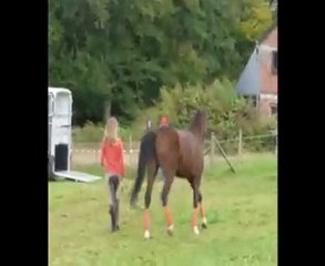 demo trec. 26 Sept. bastogne 2010