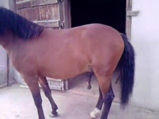 Ulkhan qui n'a peur de rien