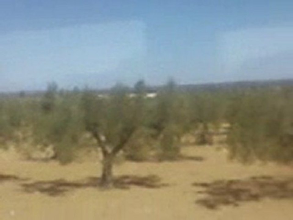 kerker bou merdes  les oliviers