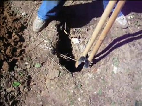 St Louis Mo Handyman Services