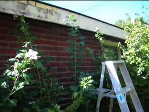 St Louis Mo Handyman