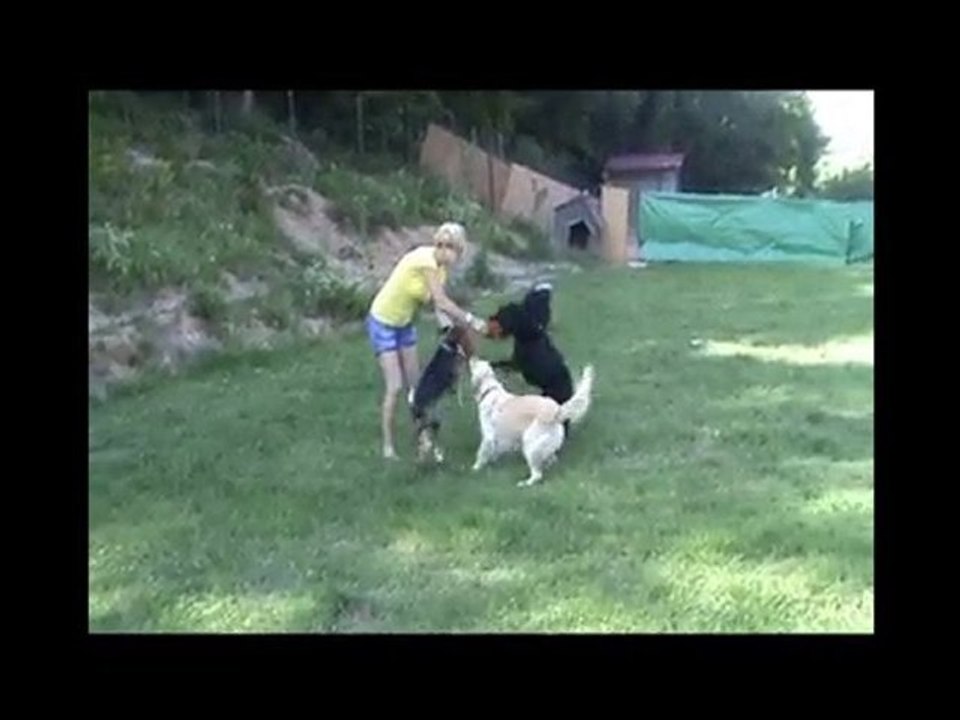 Köpek Oteli'nde eğlence