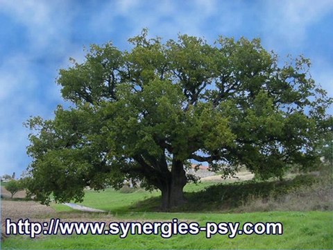 Autohypnose pnl programmation neuro linguistique Alain Poux