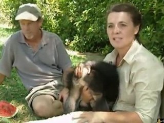 Bêtisier Chimpanzés