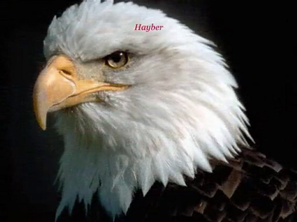 HOR BAKMA SEN TOPRAĞA  / TOPRAKTA NELER YATUR..