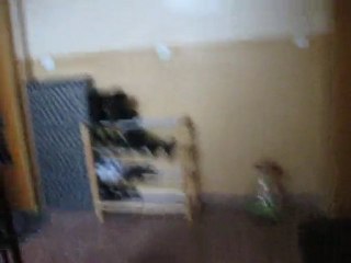 YILDIRAY BIR GÜN ALMANYADA GEZERKEN www.karacalarkoyu.org