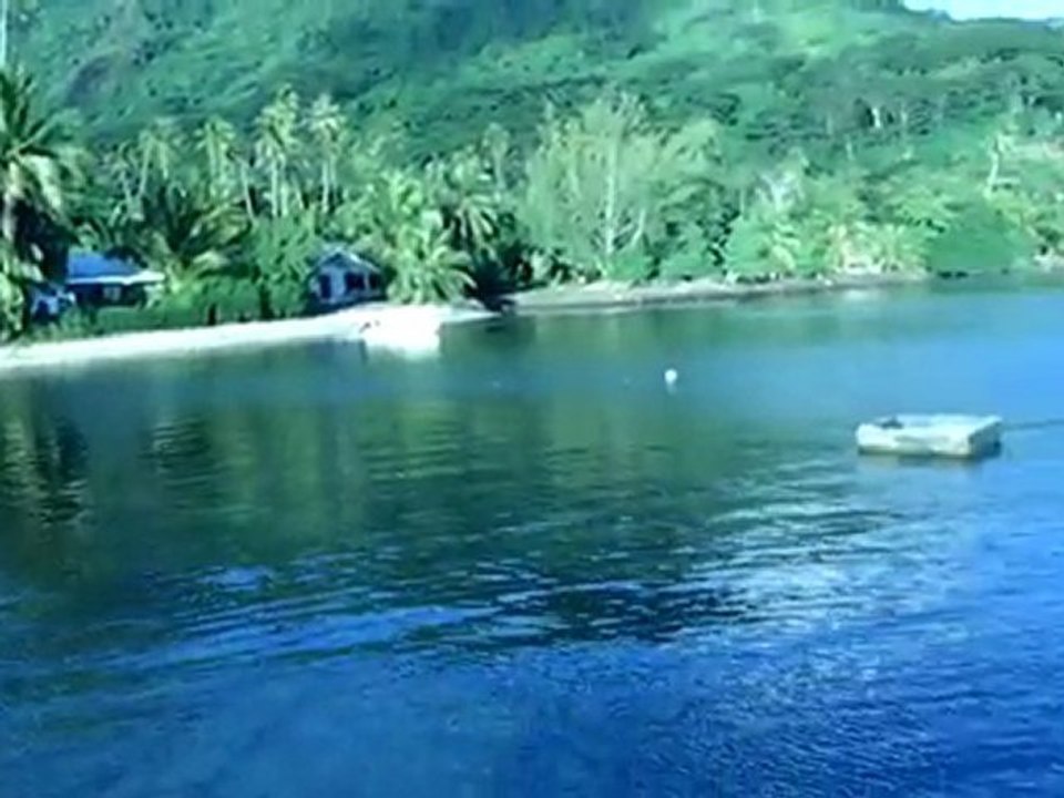 SAM_1498