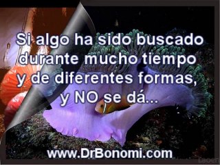 Video 21 Resumen del documental de EL SECRETO online