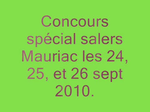 Concours spécial salers Mauriac 2010_0001
