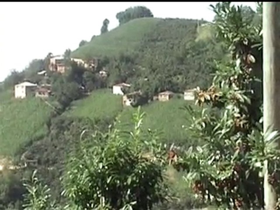 kurugeris-2005-2