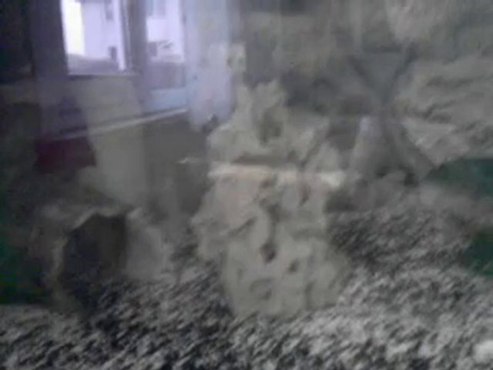 V290910_08.34