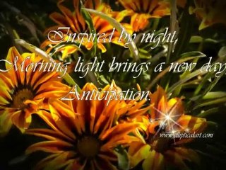 Discover the Unique Charm of Elliptical Art Collection 3 🎨