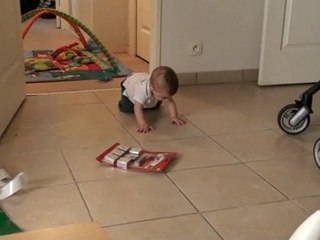 Lucien apprends le 4 pattes