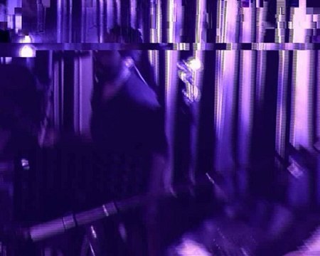 Sowing the Seeds of Love