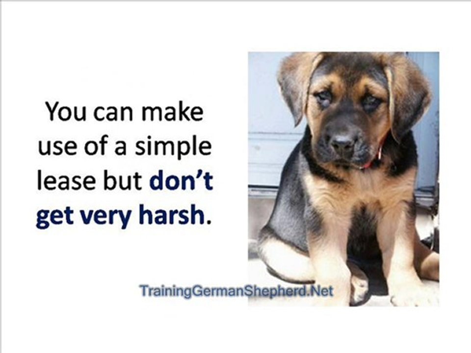 TRAINING YOUR GERMAN SHEPHERD TO FOLLOW YOUR COMMANDS