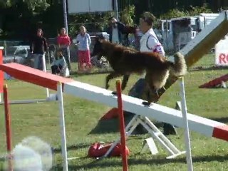 Cheyenne 1er degré St Juery 26 septembre 2010