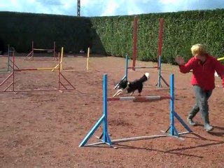 Les 20 ans du club canin de Boëseghem