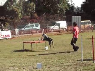 daytona 1degré  st juery