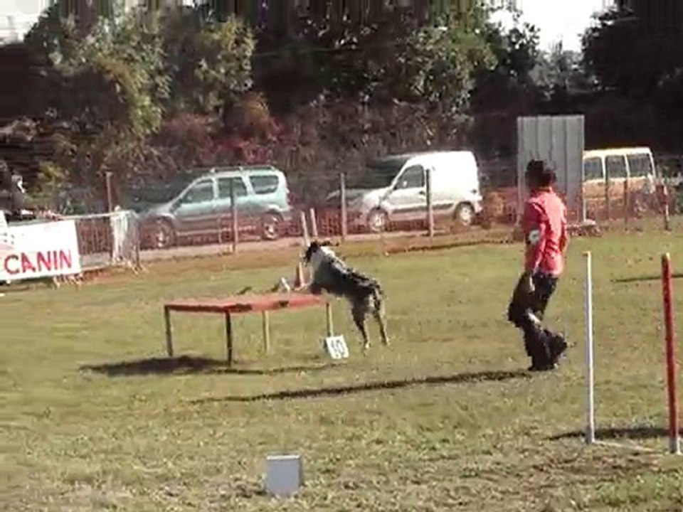 daytona 1degré  st juery