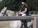 kathy a cheval
