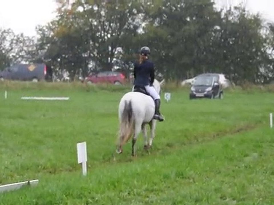 Complet Theux 2010 : Zoé et Vacqueyras dressage