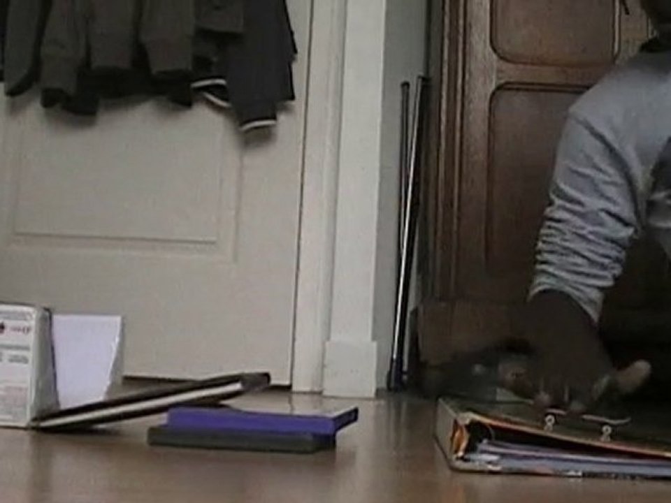 360 flip et 360 hardflip