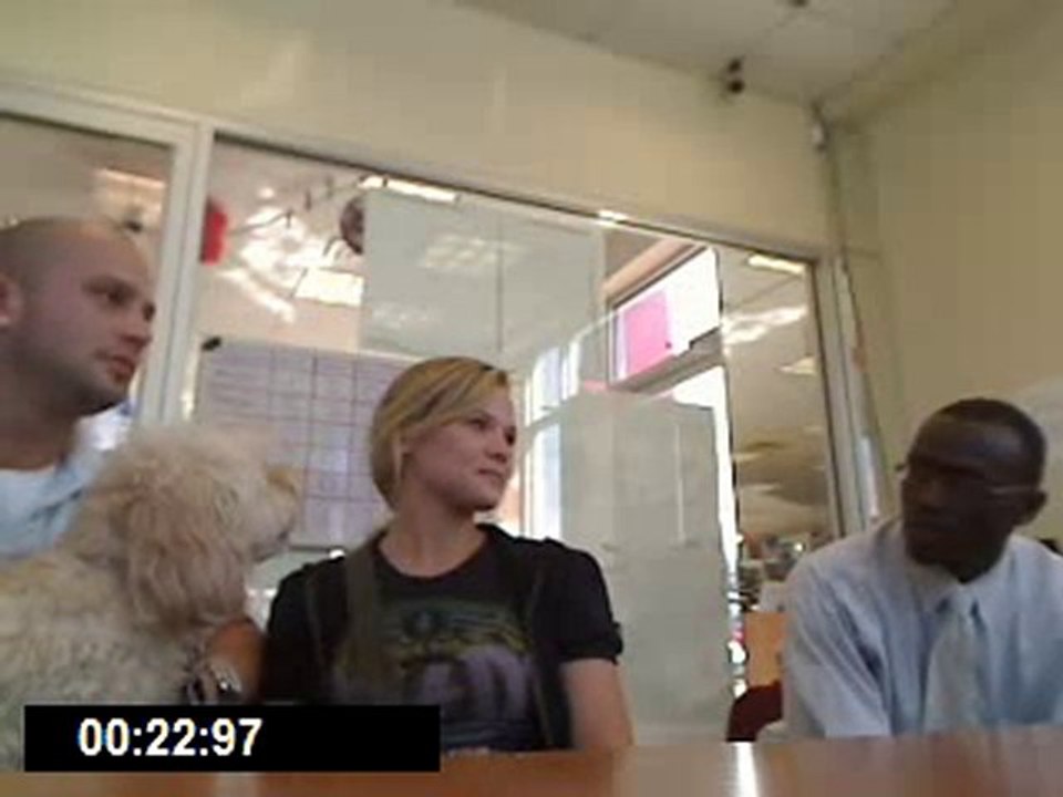 Auto Dealers New York