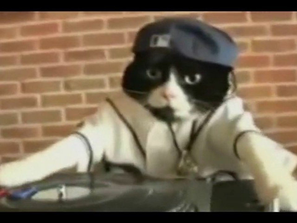 Dj Cat - Put you Hands Up
