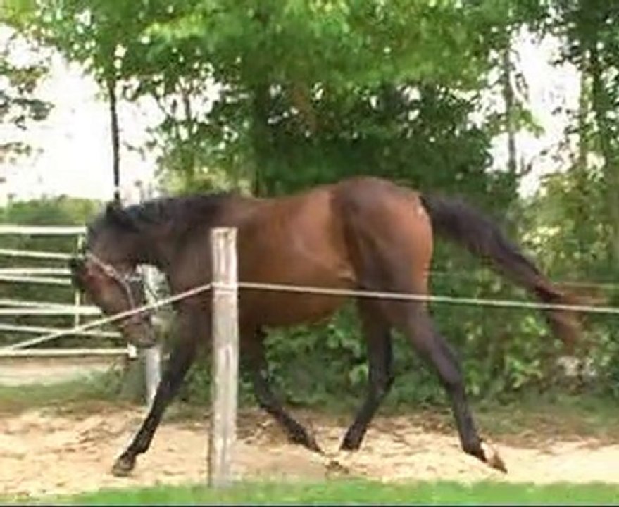 un Champion d'oreal