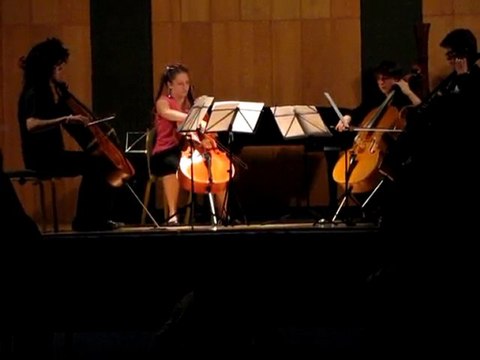 Musique en Baie 2010 : Apocalyptica pour 4 violoncelles 1