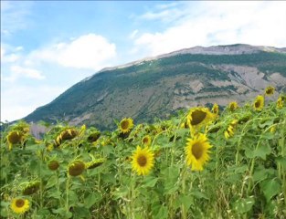 Le tour du Vercors  en vélo couché