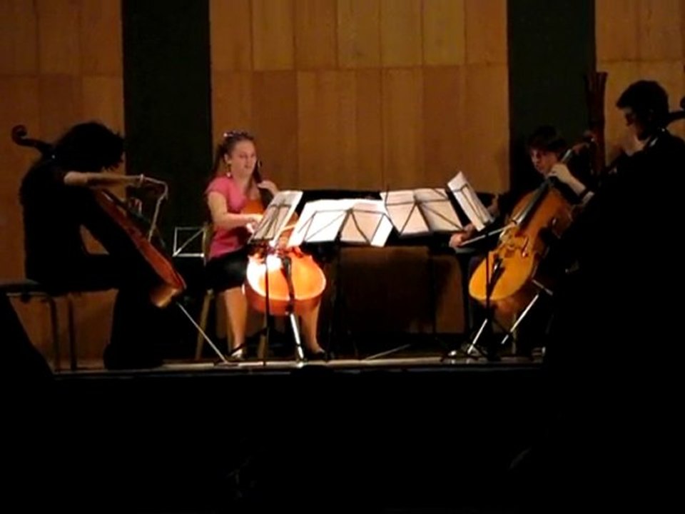 Musique en Baie 2010 : Apocalyptica pour 4 violoncelles 2