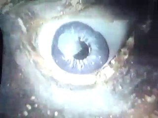 Rennes-le-Château trésor et énigmes