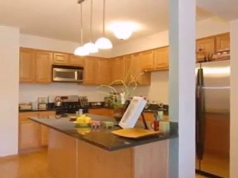 Homes for Sale - 6559 W George St Unit 312 - Chicago, IL 606
