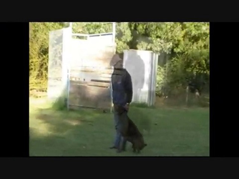 Chabal Ring2 Maurepas_