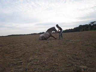 Sucette au couché monté (2)