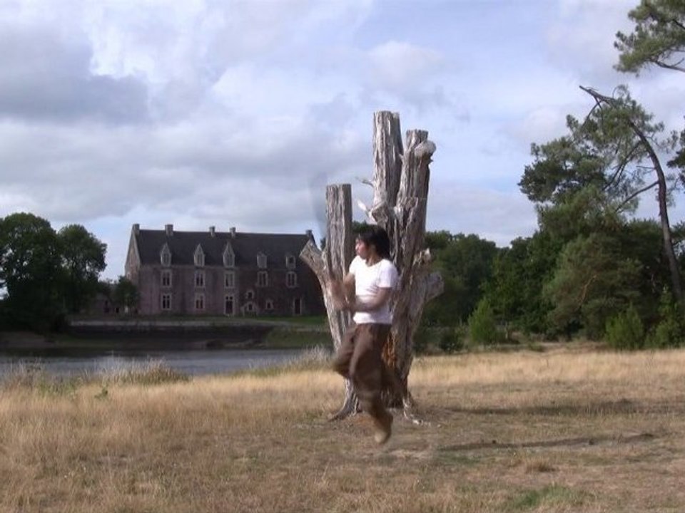 Epee en Brocéliande