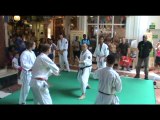 Démonstration de Nihon Tai-Jitsu en Martinique