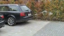 Anlægsgartner København K Calanthe ApS