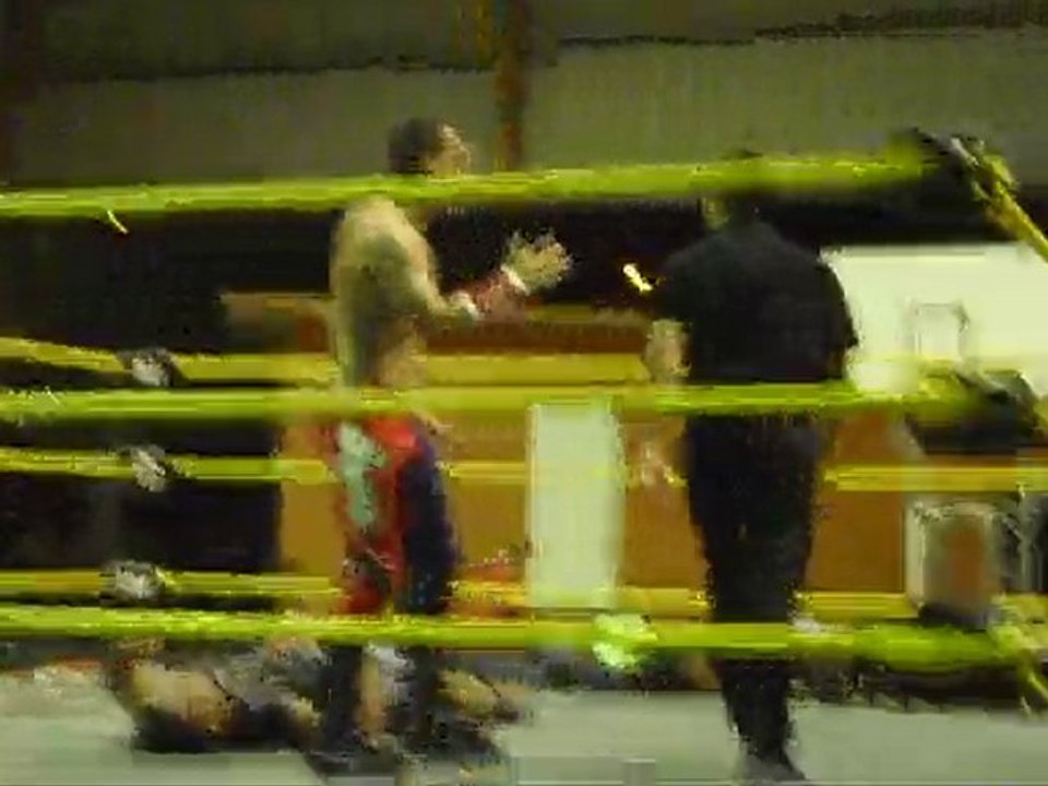 Bolo vs Nestyk