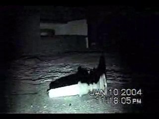 In The Basemen S1 Ep1 "In The Basement"