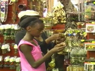 The SA Lion Park Gauteng South Africa