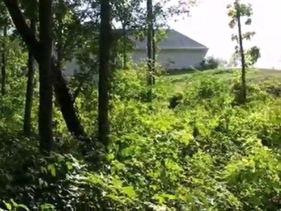 Homes for Sale - 207 Windham Cir - Yorkville, IL 60560 - Col