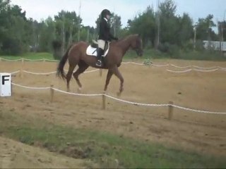 lily et moi  en compééé de dressage